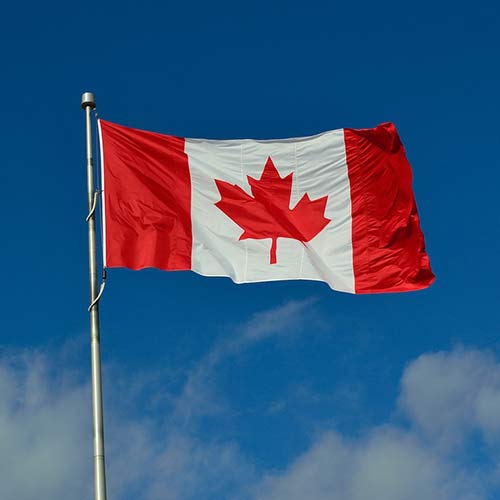 What Does New Immigrant Medical Insurance policy ?